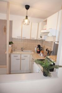 a kitchen with white cabinets and a potted plant at Le 33 Cour Normande - Appartement 2 chambres - 2 à 4 personnes - coeur Cabourg in Cabourg