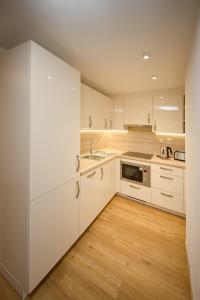 Kuchyň nebo kuchyňský kout v ubytování Apartmán nad Ottovkou