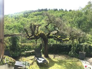 Zahrada ubytování Les Chambres du Prieuré