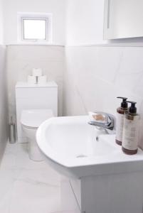 bagno bianco con servizi igienici e lavandino di The Cottage a Naas