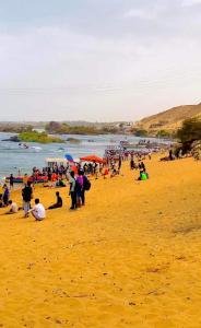 a large group of people on a beach at Private transportation in Aswan