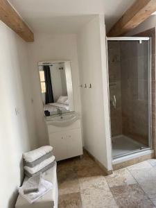 ein Bad mit einer Dusche, einem Waschbecken und einem Spiegel in der Unterkunft Appartement à 10 min de St Rémy in Noves