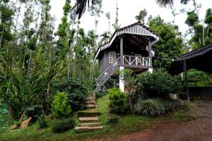 奇克马格尔Jungle Greens Homestay - Water Activities, Near to Jungle Safari的树屋,有楼梯通往