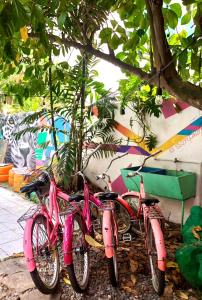 dos motos rosas estacionadas junto a un árbol en Zebulo Hostel en Panamá