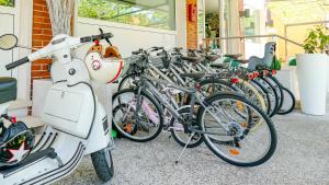 Jízda na kole v ubytování Hotel Benaco Garda ***S nebo okolí