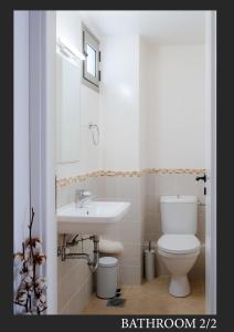 a bathroom with a white toilet and a sink at Villa Dioni in Agios Nikitas