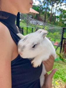 a woman holding a white rabbit in her hands at Hotel Fazenda Golden Park Campos do Jordão in Campos do Jordão