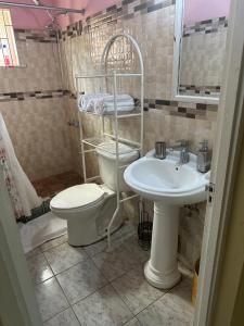 a bathroom with a toilet and a sink at Seaview Villa in St Mary