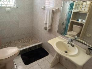 a white bathroom with a sink and a toilet at Seaview Villa in St Mary