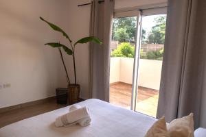 a bedroom with a bed and a window with a plant at Habitaciones con amplia terraza in Encarnación