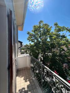 a balcony with a view of a tree at Il Sogno in Senigallia