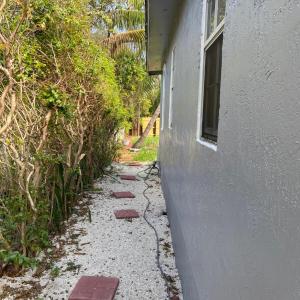 Zahrada ubytování Parnasus Wynwood