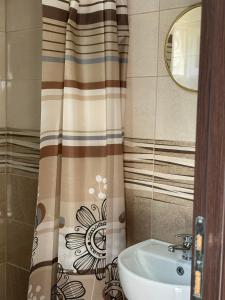 baño con lavabo y cortina de ducha en Studio apartmani Anastasija, en Žabljak