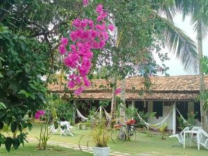 une maison avec des fleurs roses suspendues à un arbre dans l'établissement Pousada Verdes Mares, à Santa Cruz Cabrália