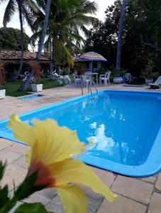 une piscine bleue avec une fleur jaune au premier plan dans l'établissement Pousada Verdes Mares, à Santa Cruz Cabrália