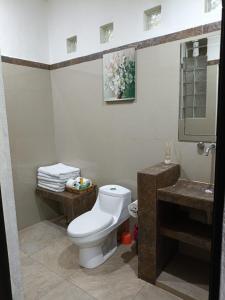 een badkamer met toilet en wastafel bij La casa de Luna in Puerto Vallarta +18 foto's