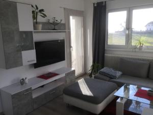 a living room with a couch and a tv at Haus im Grünen in Bad Zell