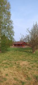 a house in the middle of a field with a tree at Betula Izerska in Przecznica