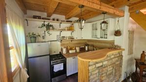a kitchen with a stove and a refrigerator and a counter at Vacation Home Gaj in Visoko