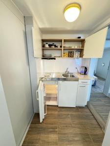 eine kleine Küche mit weißen Schränken und einem Waschbecken in der Unterkunft 2 Rooms with kitchen by Interlaken in Därligen