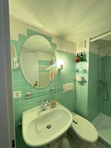 ein Bad mit einem Waschbecken, einem Spiegel und einer Dusche in der Unterkunft 2 Rooms with kitchen by Interlaken in Därligen