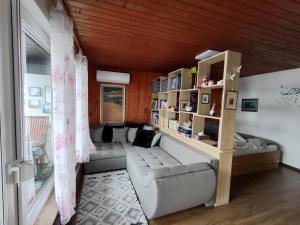 a living room with a couch and a book shelf at Snežak (Snowman) 2 in Bohinj