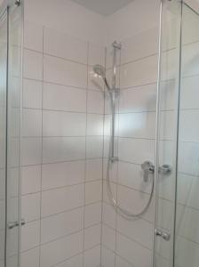 d'une douche avec une porte en verre et un pommeau de douche. dans l'établissement Work and Stay Sundern-Allendorf Modernisierte Unterkunft mit 5 Betten plus Schlafcouch mit Balkon, à Allendorf 21 autres photos
