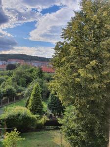 Príroda v okolí apartmánu