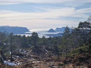 Cozy Retreat in the Heart of Ålesund في أوليسوند: اطلالة على الجبال من الغابة