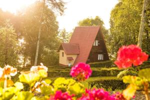 Zahrada ubytování Zirahuen Forest and Resort