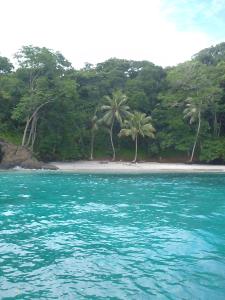 una isla con palmeras en una playa en Beached Bungalow OVER the Pacific Ocean, en El Quije