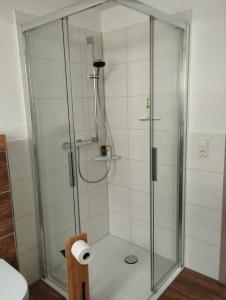 um chuveiro na casa de banho com um rolo de papel higiénico em Ferienwohnung Hohenberg em Dingelstädt