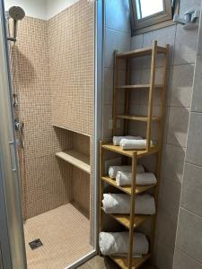 uma casa de banho com um chuveiro, toalhas e uma porta de vidro em Il Sogno em Alberobello
