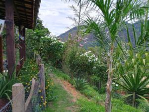 ogród z ogrodzeniem i roślinami w obiekcie Casa Verde w mieście Areal