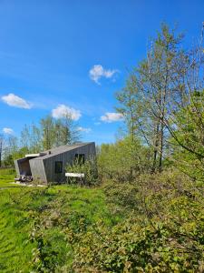 une petite maison dans un champ avec un banc dans l'établissement Tiny House De Skries, à Westergeest