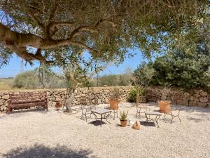un banc et des chaises sous un arbre à côté d'un mur de pierre dans l'établissement Traumhafte Finca am Es Trenc, à Ses Covetes