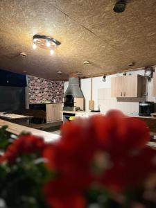 a kitchen with a red flower in the foreground at Cabanutele La Denisa in Dubova