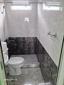 uma casa de banho com um WC e uma cabina de duche. em NINO em Kobuleti