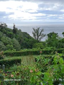 a view of a garden with the ocean in the background at AP Luso Brasileiro in Lajes das Flores