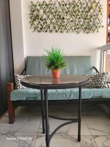 شالية غرفة ورسيبشن وحمام ومطبخ أرضي بجاردن خاص في بورسعيد: طاولة مع نباتات الفخار على مقعد
