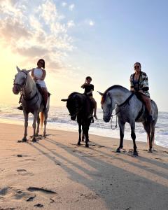 três pessoas estão andando a cavalo na praia em Sierra Sagrada Tayrona em Guachaca