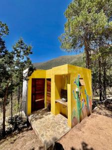 Camping en la Sierra de Arteaga في Los Lirios: منزل أصفر صغير في وسط غابة