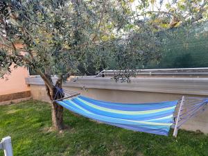 een blauwe hangmat hangend aan een boom in een tuin bij Miro' Agropoli in Agropoli