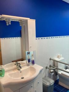 a bathroom with a sink and a blue wall at Quinta de Santana - Queimadas in Furnas