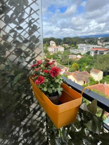 una maceta de flores en un balcón con flores rojas en Appartement 10 min Croisette, en Le Cannet
