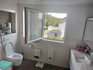 a bathroom with a toilet and a window at Feel comfortable in Vaihingen an der Enz