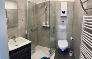 a bathroom with a shower and a toilet and a sink at Pension zum goldenen Anker in Wittenberge