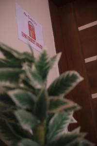 Certifikát, hodnocení, plakát nebo jiný dokument vystavený v ubytování Erki Guest House