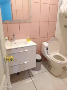 a pink bathroom with a toilet and a sink at DIAGUITAS, VICUÑA, VALLE DEL ELQUI in Diaguita +14 photos