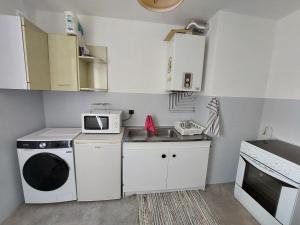 uma pequena cozinha com um lavatório e um micro-ondas em T2 - 51m² avec parking em Pau